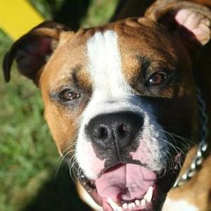 Meet your Posher, Jon